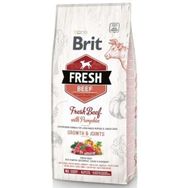 Brit Fresh 12 kg Sığır Etli ve Balkabaklı Yavru Köpek Maması
