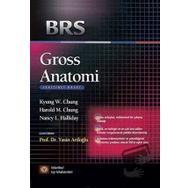 BRS Gross Anatomi - İstanbul Tıp Kitabevi