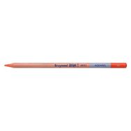 Bruynzeel 5789945 Dessin Aquarell Sanguine N:B883546K Sulu ve Kuru Boya Kalemi
