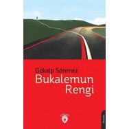 Bukalemun Rengi Dorlion Yayınevi