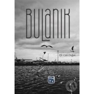 Bulanık - Efe Can Doğan