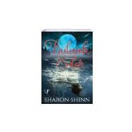 Bulanık Sular - Sharon Shinn - Artemis Yayınları