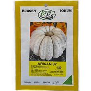 Burgen Tohum 10 gr BT Arıcan 97 Kabak Tohumu
