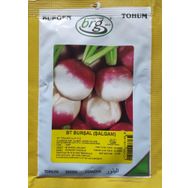 Burgen Tohum 10 gr Burşal Şalgam Totumu