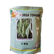 Bursa Tohum 1 kg Balkız Fasulye Tohumu