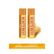 Burt's Bees Honey Lip Balm Blister 4,25 gr x 2 Adet Blister Ambalaj Bal Aromalı Dudak Bakım Kremi