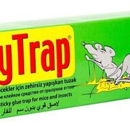 Bytrap Zehirsiz 75 ml Fare Yapışkanı