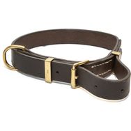 CA-Leather Pablo 29-40 Koyu Kahverengi El Yapımı Gerçek Deri Köpek Tasması
