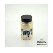 Cadence 7172 Şampanya 90 ml Dora Multisurface Boya