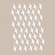Cadence BN05 25x36 cm BN Serisi Stencil