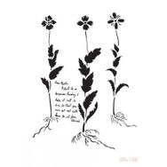 Cadence BN156 Bn Serisisi 25x35 cm Stencil