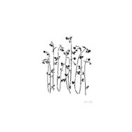 Cadence BN160 25x36 cm BN Serisi Stencil