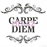 Cadence Home Decor HD-42 Stencil 45x45 cm Boyama Şablonu