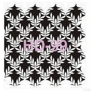 Cadence Home Decor HD-99 Stencil 45x45 cm Boyama Şablonu