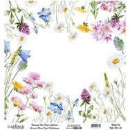 Cadence UC096 Evrensel Pirinç Dekopaj