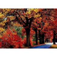 Caka Tablo Ağaçlı Yol ve Sonbahar Yaprakları 1000 Parça Puzzle