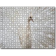 Caka Tablo Beyaz Tavus Kuşu Görseli 500 Parça Puzzle