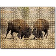 Caka Tablo Çayırda Gövde Gösterisindeki Bizonlar 255 Parça Puzzle