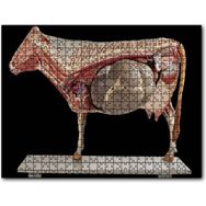 Caka Tablo İneğin İç Organlarının Görseli 120 Parça Puzzle