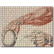 Caka Tablo İnsan Anatomisi El ve Kol Bilye Görseli 255 Parça Puzzle