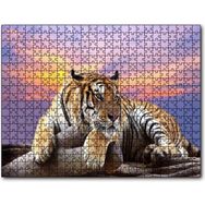 Caka Tablo Kaplan Gün Batımı Görseli 255 Parça Puzzle