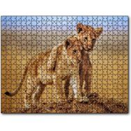 Caka Tablo Kardeşlik Başkadır Yavru Aslanlar 255 Parça Puzzle