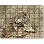 Caka Tablo Kurt Eski Fotoğraf 500 Parça Puzzle
