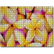 Caka Tablo Sarı Plumeria Çiçekleri 255 Parça Puzzle