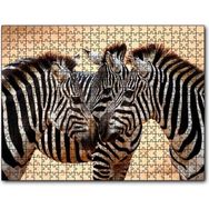 Caka Tablo Savanada Üç Kafadar Zebra Yakın Plan 255 Parça Puzzle