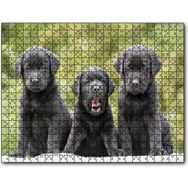 Caka Tablo Üç Sevimli Siyah Yavru Köpek 255 Parça Puzzle