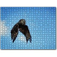 Caka Tablo Uçan Baykuş 1000 Parça Puzzle