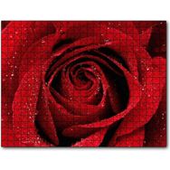 Caka Tablo Yağmur Damlası ve Güzel Gül Fotoğrafı 255 Parça Puzzle