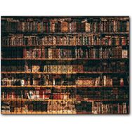 Caka Tablo Zengin Kitaplık 500 Parça Puzzle