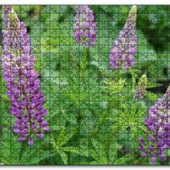 Cakapuzzle Acı Bakla Çiçeği ve Yaprakları Mdf 120 Parça Puzzle