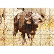 Cakapuzzle Afrika Bozkırında Bufalo ve Kuru Otlar Mdf 120 Parça Puzzle
