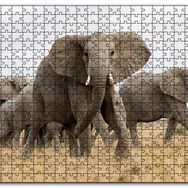 Cakapuzzle Afrika Safarisinde Filler Mdf 1000 Parça Puzzle