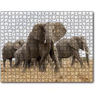 Cakapuzzle Afrika Safarisinde Filler Mdf 255 Parça Puzzle