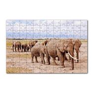Cakapuzzle Afrika Savanada Filler Bir Arada 120 Parça Ahşap Puzzle