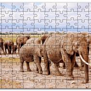 Cakapuzzle Afrika Savanada Filler Bir Arada Mdf 1000 Parça Puzzle