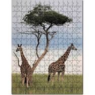 Cakapuzzle Afrikada Çift Zürafa Görseli Mdf 1000 Parça Puzzle
