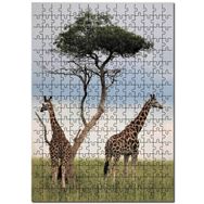 Cakapuzzle Afrikada Çift Zürafa Görseli Mdf 500 Parça Puzzle