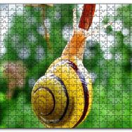 Cakapuzzle Ağaç Dalı Üzerindeki Salyangoz Yakın Plan Mdf 255 Parça Puzzle