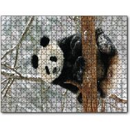 Cakapuzzle Ağaç Dalında Panda 1000 Parça Puzzle