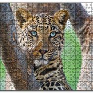 Cakapuzzle Ağaç Dallarında Genç Leopar Ahşap 500 Parça Puzzle