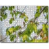 Cakapuzzle Ağacın Dalları Arasındaki Kırmızı Yüzlü Kuş Mdf 120 Parça Puzzle