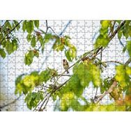 Cakapuzzle Ağacın Dalları Arasındaki Kırmızı Yüzlü Kuş Mdf 255 Parça Puzzle
