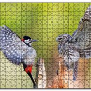 Cakapuzzle Ağaçkakan ve Baykuş Ahşap 1000 Parça Puzzle