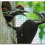 Cakapuzzle Ağaçkakan ve Yuvada Aç Yavruları Mdf 255 Parça Puzzle