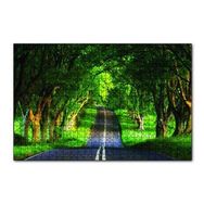 Cakapuzzle Ağaçlar Ve Yol 120 Parça Ahşap Puzzle