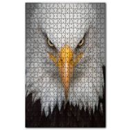 Cakapuzzle Akbaşlı Amerikan Kartalı Ön Görünüş Ahşap 255 Parça Puzzle